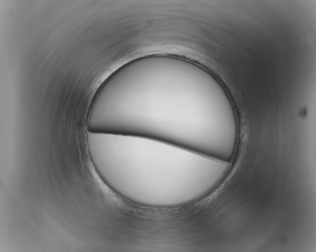 X0000115481521200911061013
