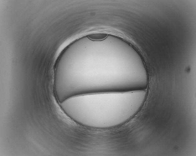 X0000115481522200911061013