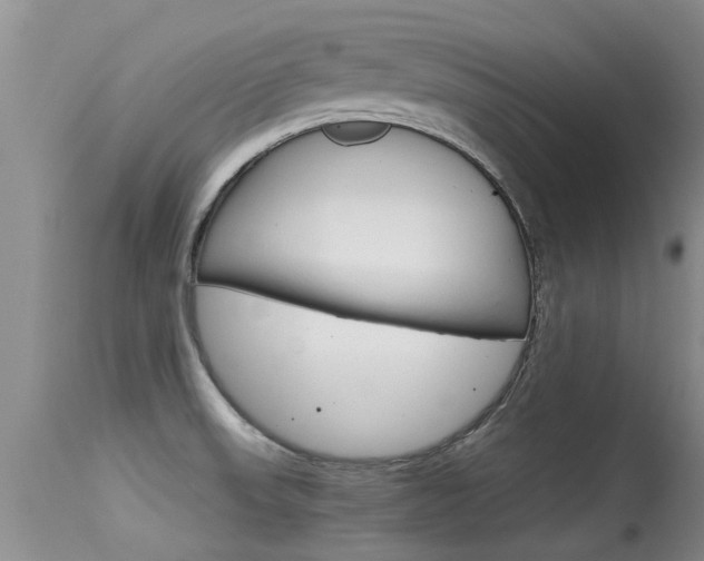 X0000115481523200911061013