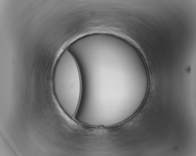 X0000115481525200911061013