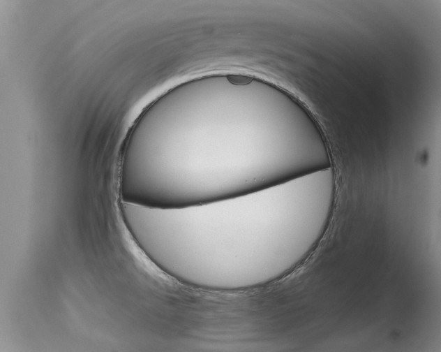 X0000115481526200911061013