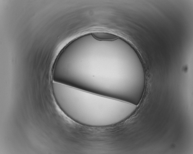 X0000115481527200911061013