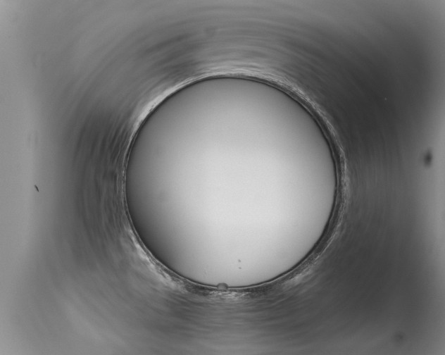 X0000115481529200911061013