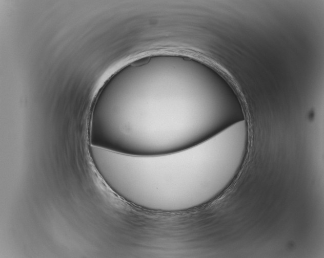 X0000115481530200911061013