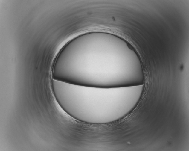 X0000115481531200911061013