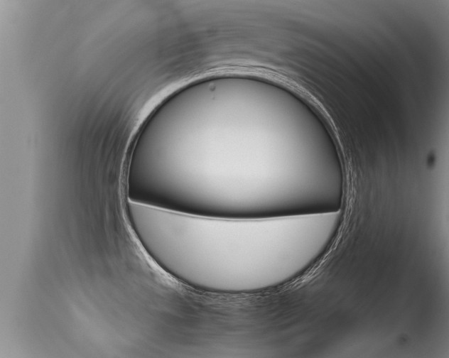X0000115481533200911061013