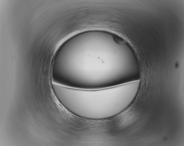 X0000115481534200911061013