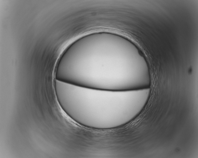 X0000115481535200911061013