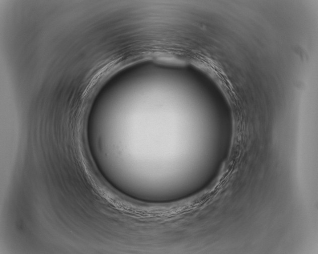 X0000115480001200911061226