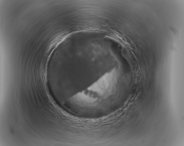 X0000115480002200911061226