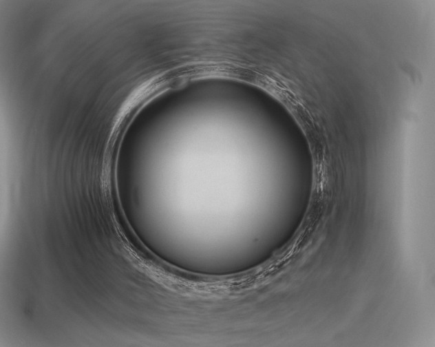 X0000115480004200911061226