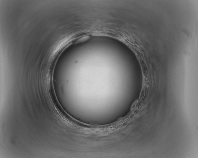 X0000115480005200911061226