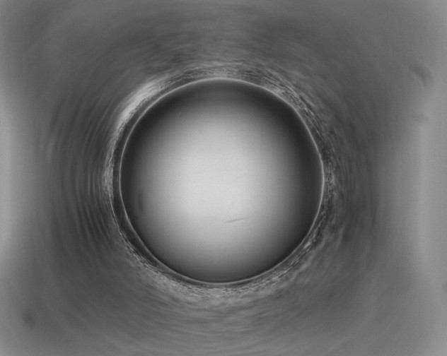 X0000115480006200911061226