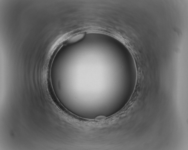 X0000115480007200911061226