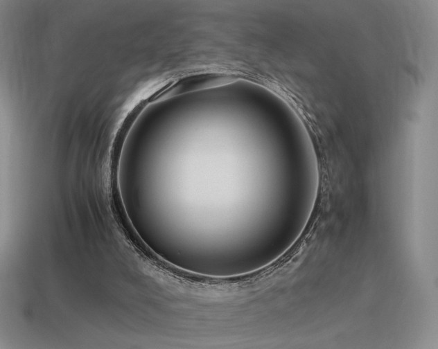 X0000115480008200911061226