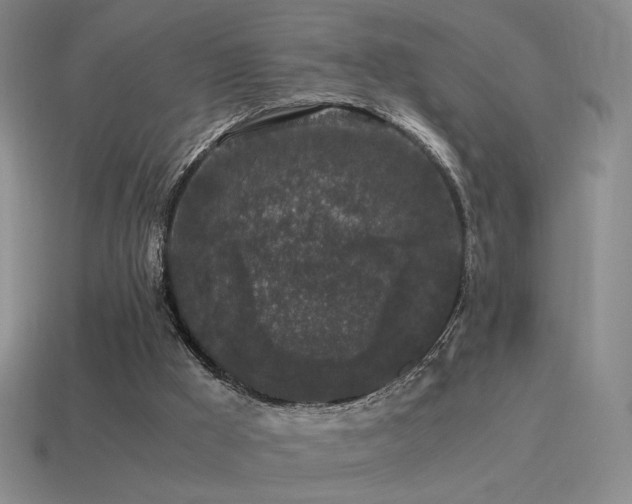 X0000115480009200911061226