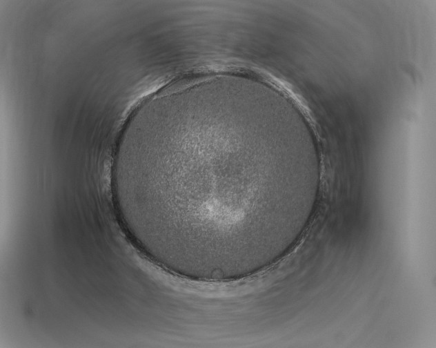 X0000115480010200911061226