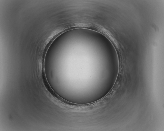 X0000115480011200911061226