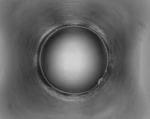 X0000115480012200911061226