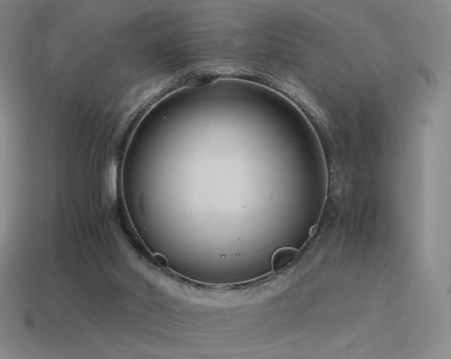 X0000115480014200911061226