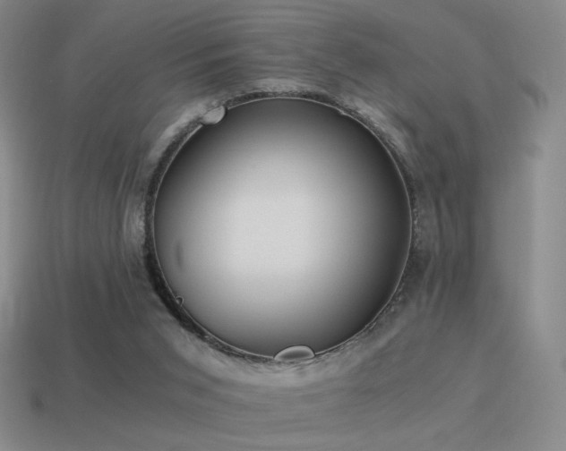 X0000115480015200911061226