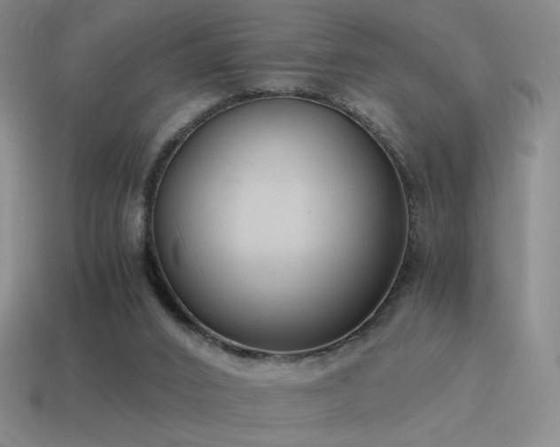 X0000115480016200911061226