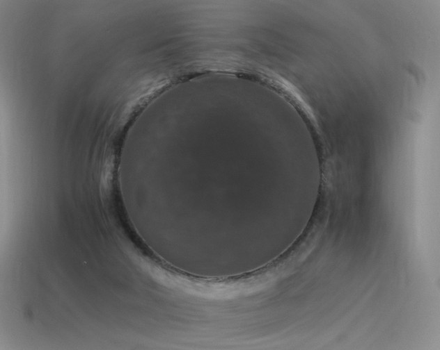 X0000115480018200911061226