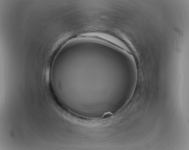 X0000115480019200911061226