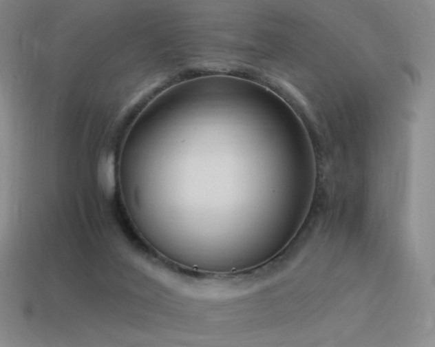 X0000115480020200911061226