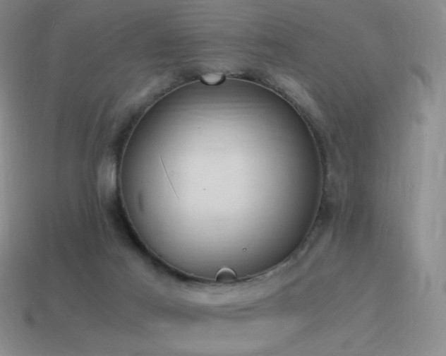 X0000115480021200911061226