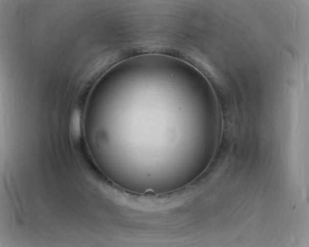 X0000115480022200911061226