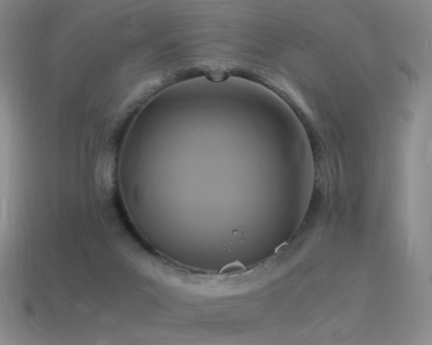 X0000115480023200911061226