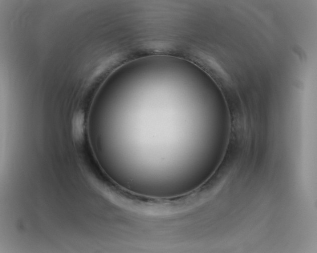 X0000115480024200911061226