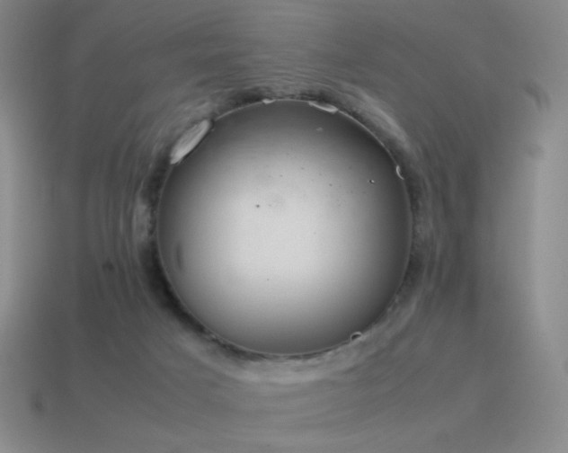 X0000115480025200911061226