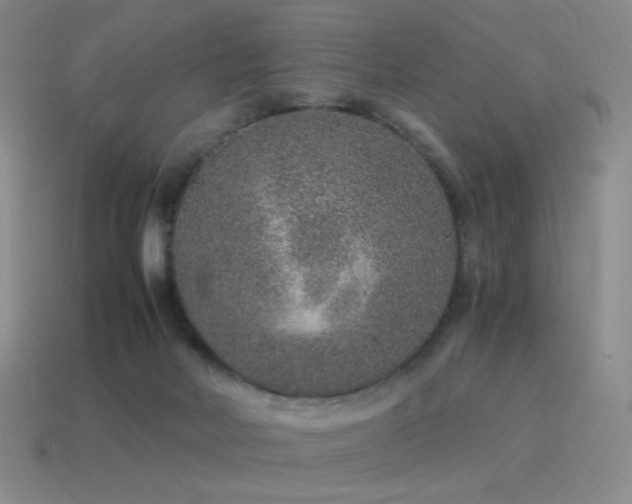 X0000115480026200911061226