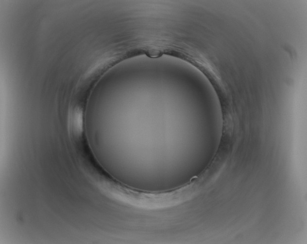 X0000115480027200911061226