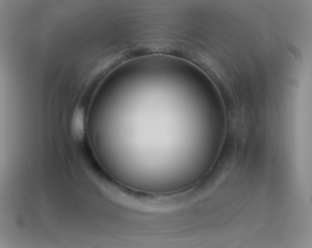 X0000115480028200911061226