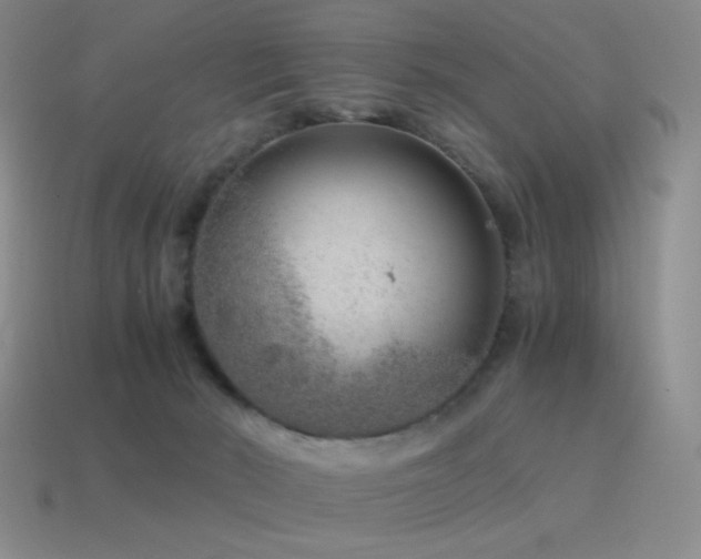 X0000115480030200911061226