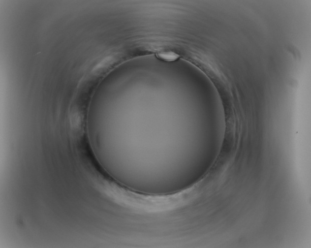 X0000115480031200911061226