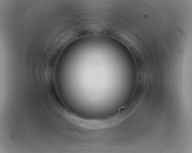 X0000115480034200911061226