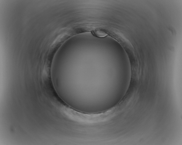 X0000115480035200911061226