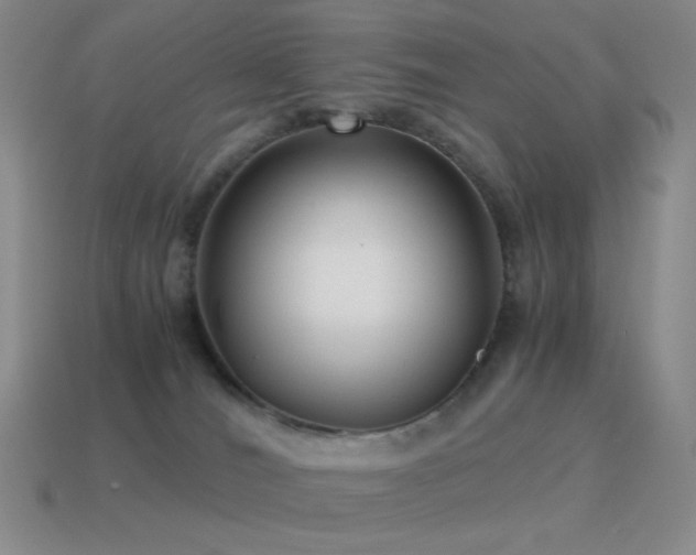 X0000115480036200911061226