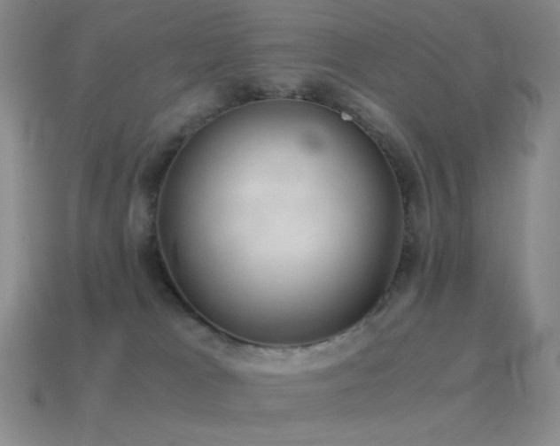 X0000115480037200911061226