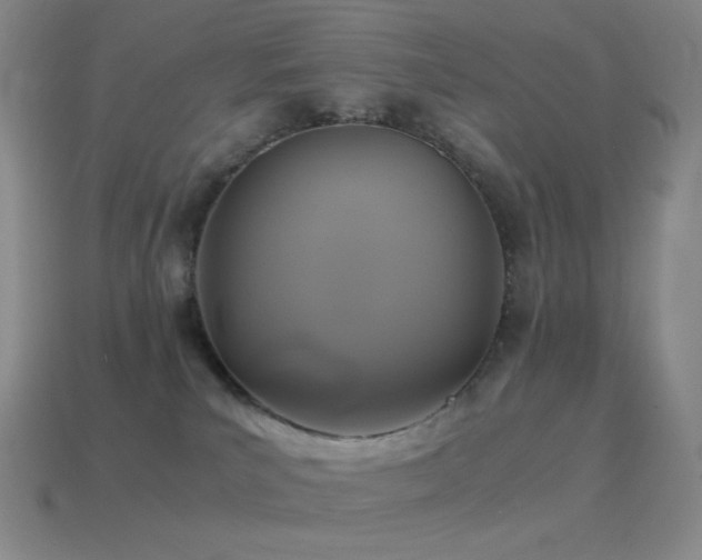 X0000115480039200911061226