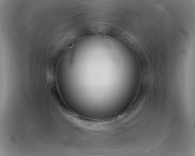 X0000115480040200911061226