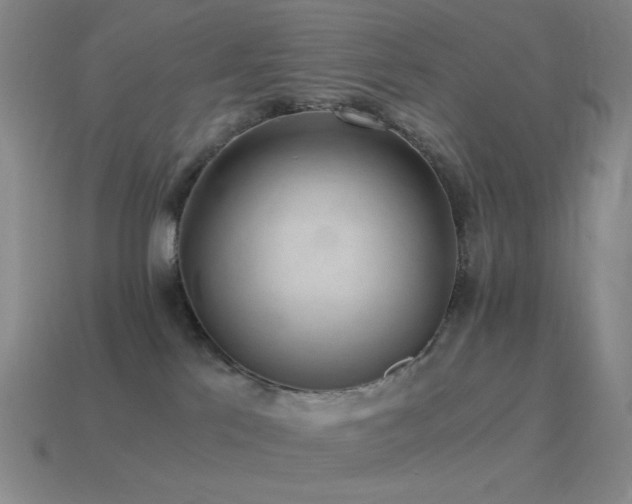 X0000115480041200911061226