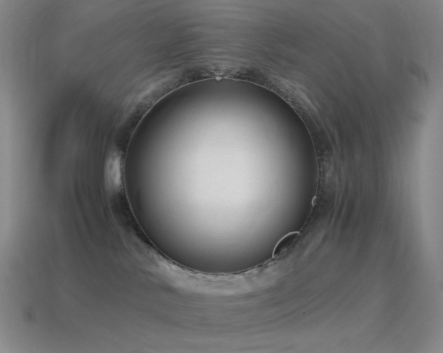 X0000115480042200911061226