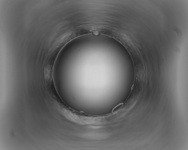 X0000115480044200911061226