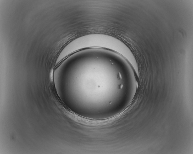 X0000115480047200911061226