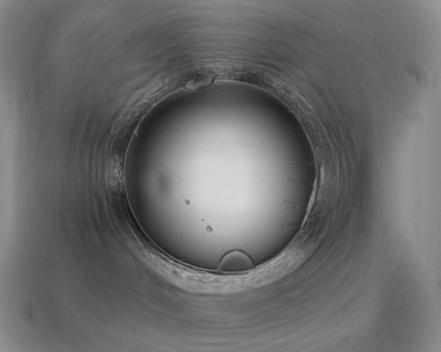 X0000115480048200911061226